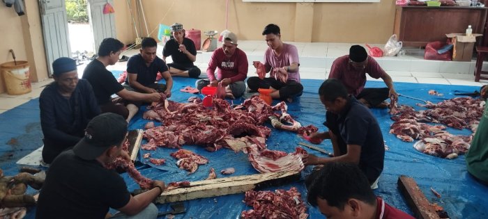 Wujud Ketakwaan dan Kebersamaan, Keluarga Besar MTsN 1 Tanjab Barat Sembelih Tiga Ekor Sapi Kurban Wujud Ketakwaan dan Kebersamaan, Keluarga Besar MTsN 1 Tanjab Barat Sembelih Tiga Ekor Sapi Kurban